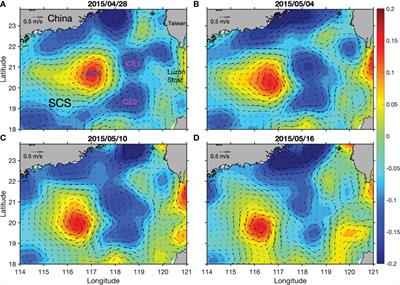 Modelling the influence of submesoscale processes on phytoplankton dynamics in the northern South China Sea